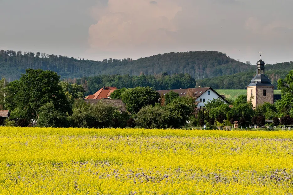 Blick auf Rottleberode